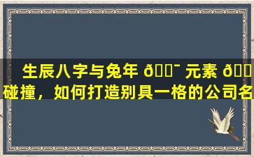 生辰八字与兔年 🐯 元素 🌸 碰撞，如何打造别具一格的公司名